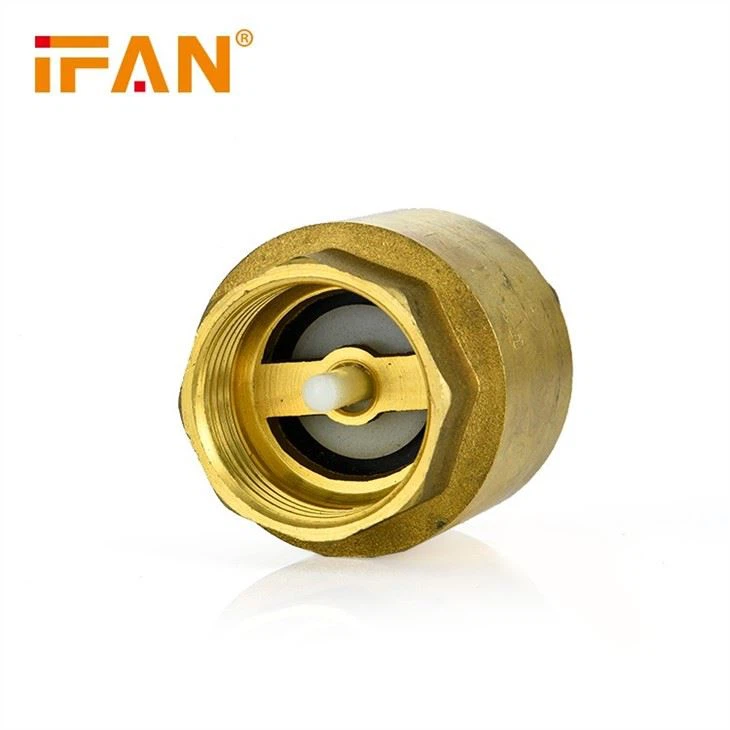 check valve