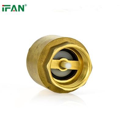 The Importance of Brass Check Valves in Plumbing Systems The Importance of Brass Check Valves in Plumbing Systems